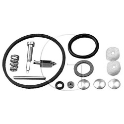 Kit de reparation BRIGGS & STRATTON 494349