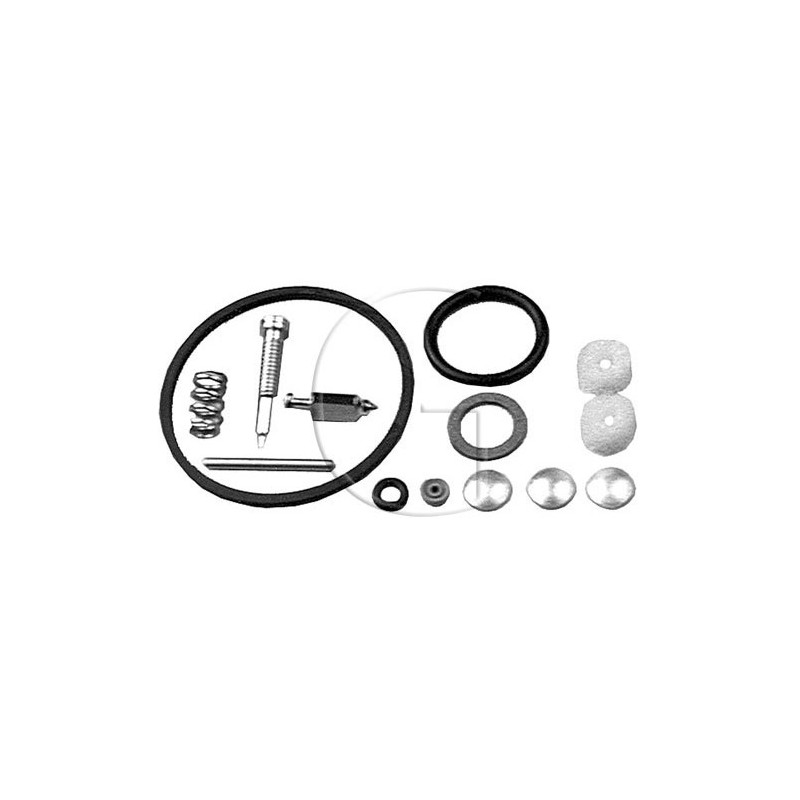 Kit de reparation BRIGGS & STRATTON 494349