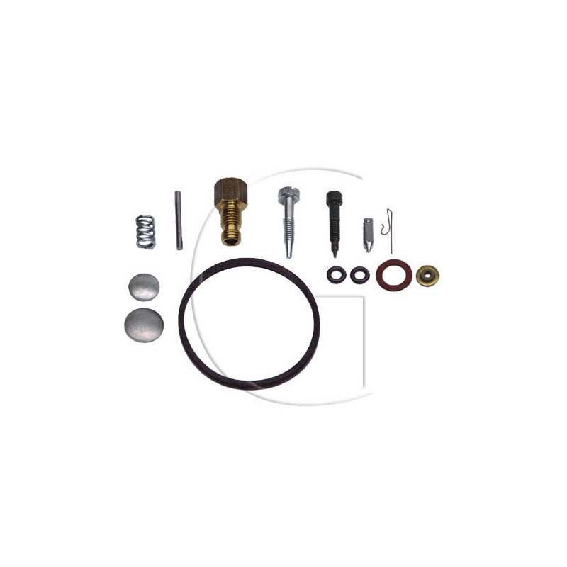 Kit de rapration carburateur TECUMSEH 632347