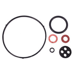 Kit de réparation carburateur BRIGGS & STRATTON 16010-ZE2-812