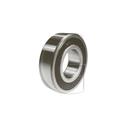Roulement blindé Type 6206-2RS