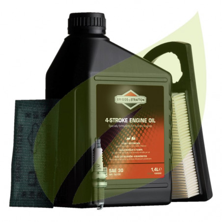 Kit Manutenzione Motore Briggs & Stratton 992236 - Filtro Aria, Candela, Olio E Prefiltro - Foto 4