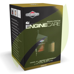 Kit d'entretien BRIGGS & STRATTON Pour Model 21, Series 3 Powerbuilt, Intek