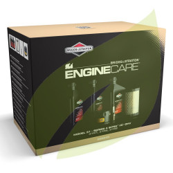 Kit d'entretien BRIGGS & STRATTON Pour Model 31, Series 4 Intek I/C OHV 31R7, 31R8, 31R9