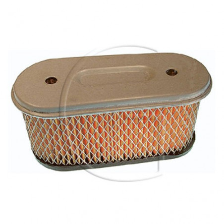 Filtres à Air Briggs & Stratton 4 Unités