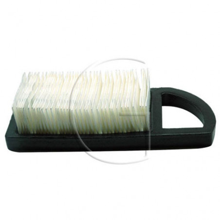 GREENSTAR Filtre à Air Pour Tondeuse Briggs & Stratton 21A900/21B900 - Remplace 004213, 613022, Etc.